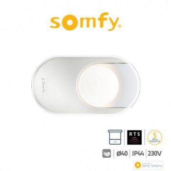 DEXXO OPTIMO RTS Somfy motore per porte da garage