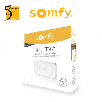 Rilevatore antintrusione Somfy Protect INTELLITAG