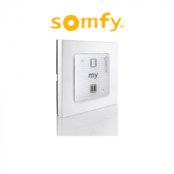 SMOOVE 1 O/C RTS Somfy - Comando a parete per aperture orizzontali