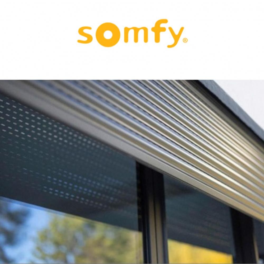 ALTUS 40 RTS Somfy motore radio per tapparelle ALTUS 40 RTS Somfy motore radio per tapparelle