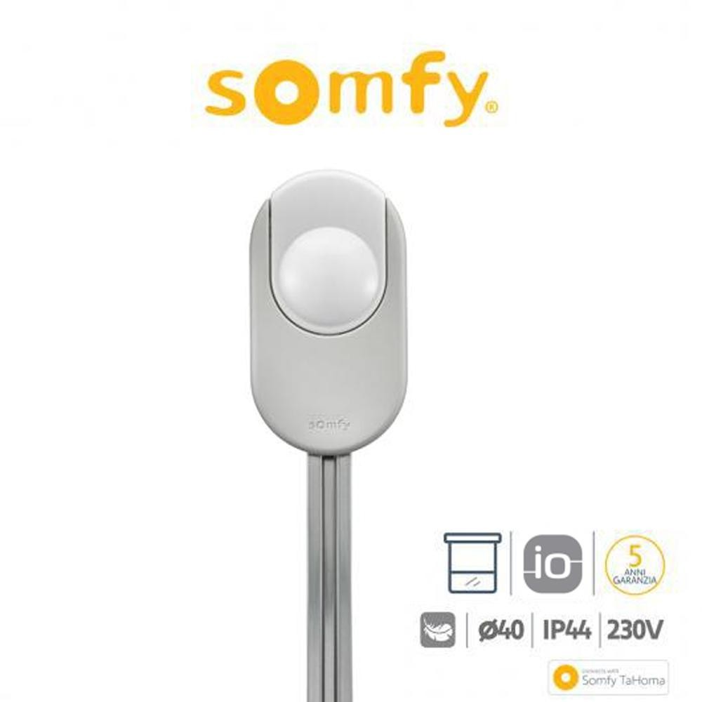 DEXXO SMART 1000 IO Somfy motore per porte da garage 