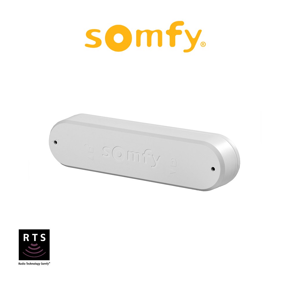 EOLIS 3D WIREFREE RTS Somfy sensore di vibrazione per motori radio RTS EOLIS 3D WIREFREE RTS Somfy sensore di vibrazione per motori radio RTS