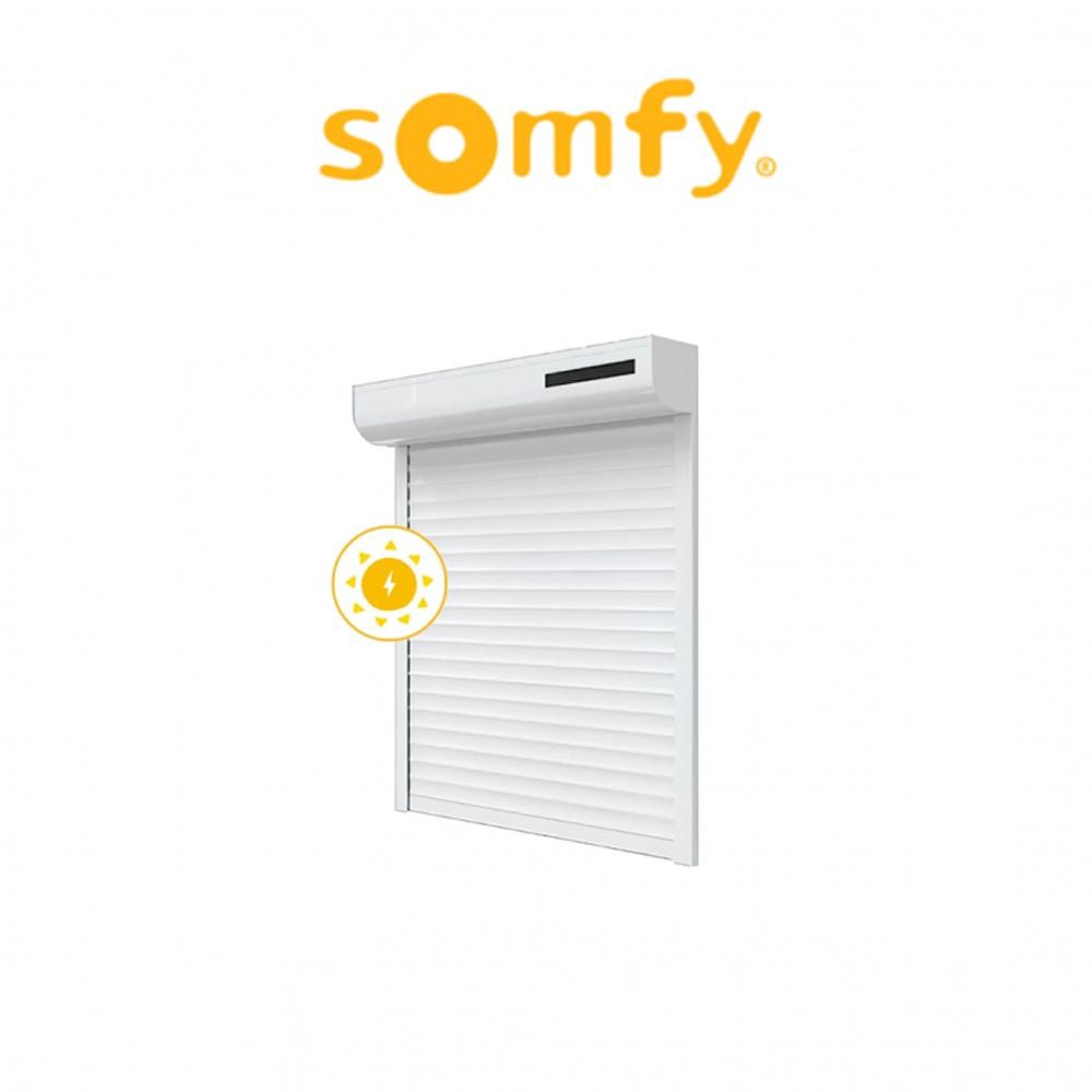 OXIMO 40 WIREFREE RTS Somfy motore radio per tapparelle OXIMO 40 WIREFREE RTS Somfy motore radio per tapparelle