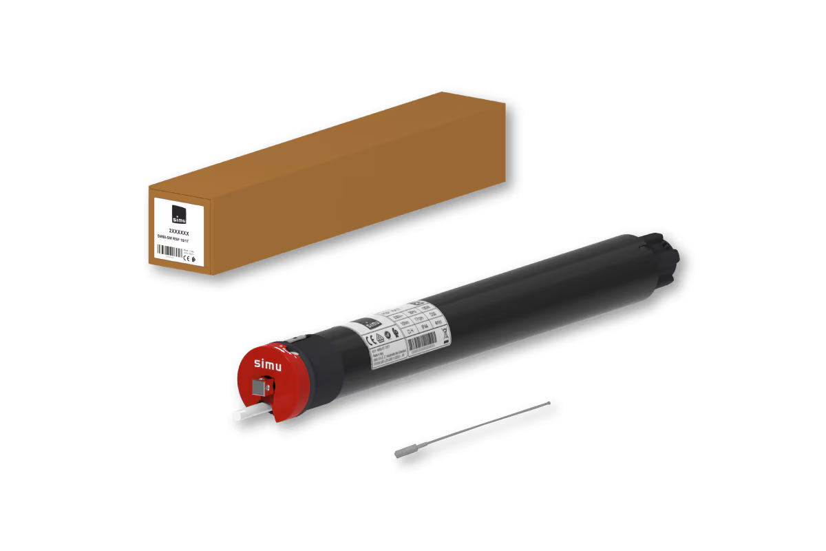 SM50-SM RSP Simu