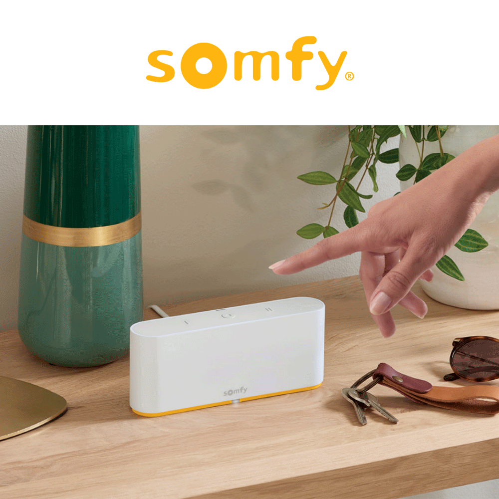 TAHOMA SWITCH Somfy - Dispositivo per gestione domotica da remoto TAHOMA SWITCH Somfy - Dispositivo per gestione domotica da remoto