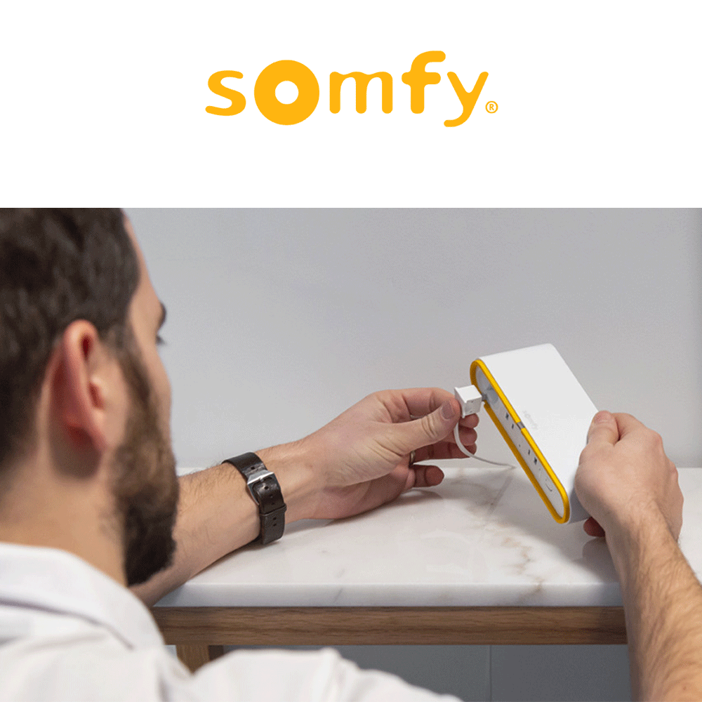 TAHOMA SWITCH Somfy - Dispositivo per gestione domotica da remoto TAHOMA SWITCH Somfy - Dispositivo per gestione domotica da remoto