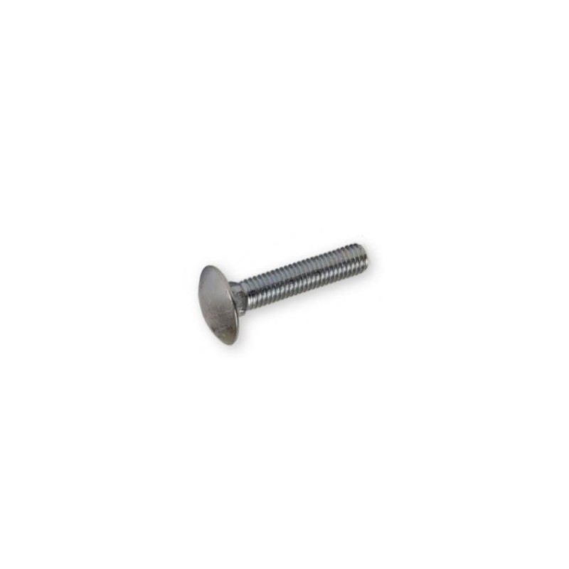 Viti A Testa Tonda Con Quadro Sottotesta Inox M10 30