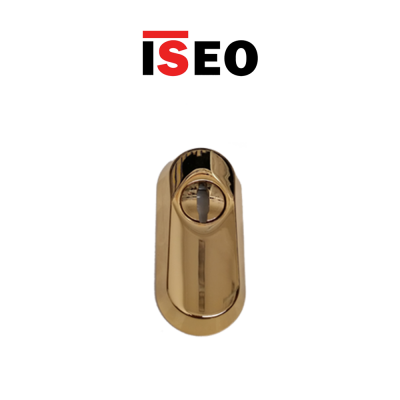 Defender per cilindro in acciaio temprato Iseo ottonato lucidato art. 98050206